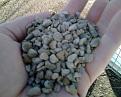 Expanded Shale for Aquaponic Grow Beds