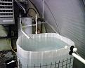 Main IBC tote full of water and cycling.